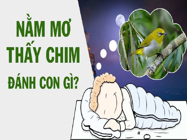 Kimsa giải mã giấc mơ thấy con chim nên đánh con gì?